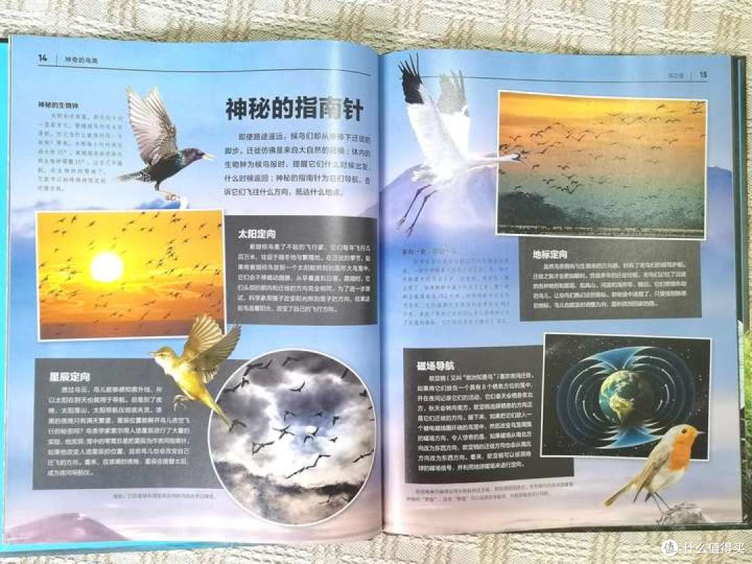 双十一大促,你会趁机为孩子买书吗?晒一晒我为孩子买过的书单!