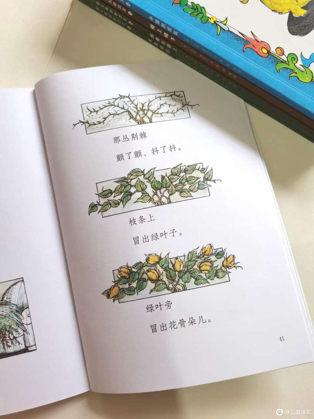 双十一大促,你会趁机为孩子买书吗?晒一晒我为孩子买过的书单!