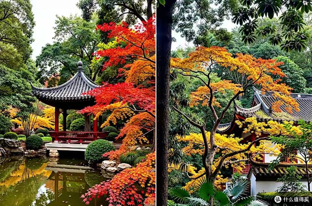 如何科学选择老年蛋白粉