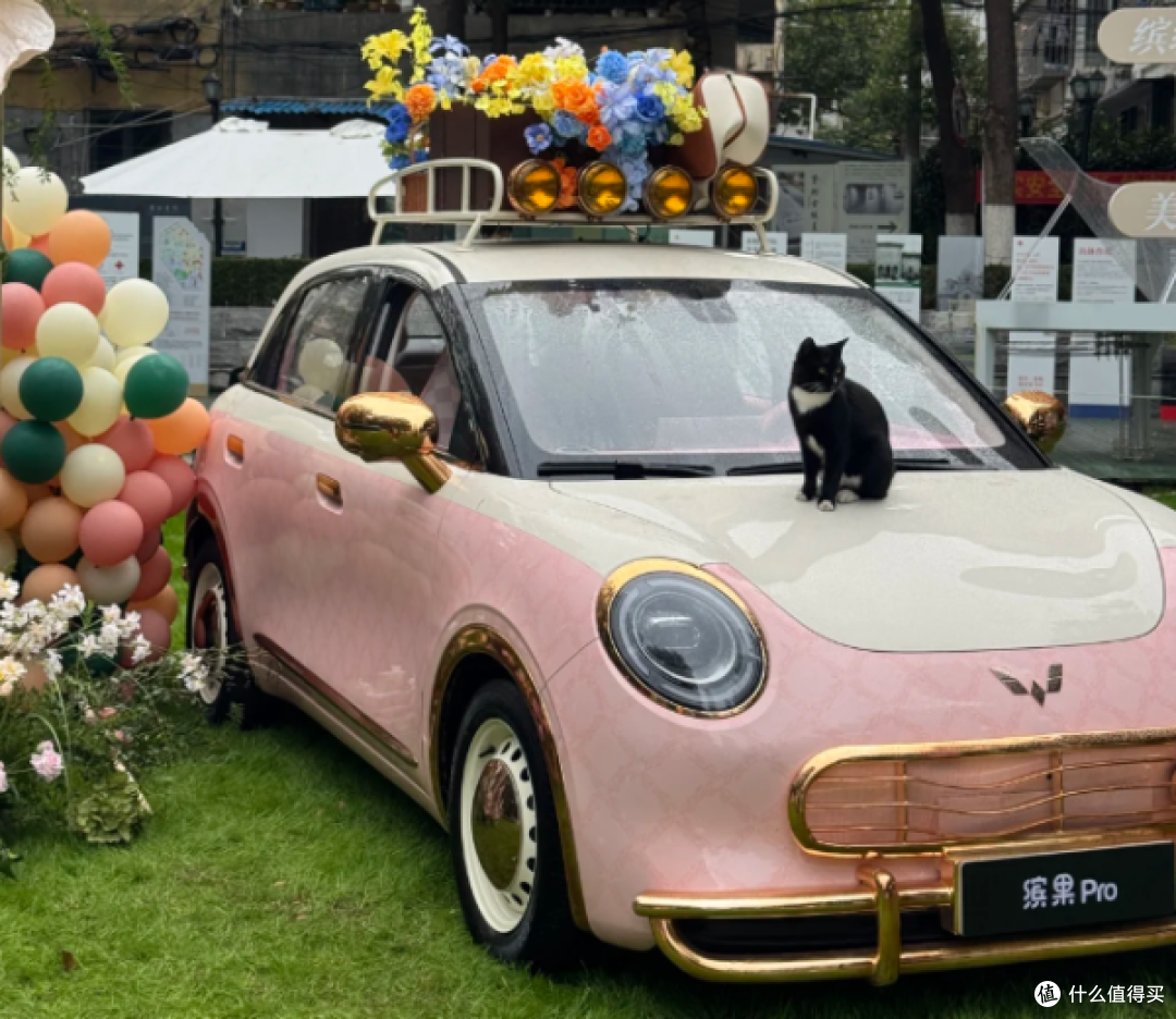 缤果Pro建议买吗?女车主开了几个月,深度解析优缺点