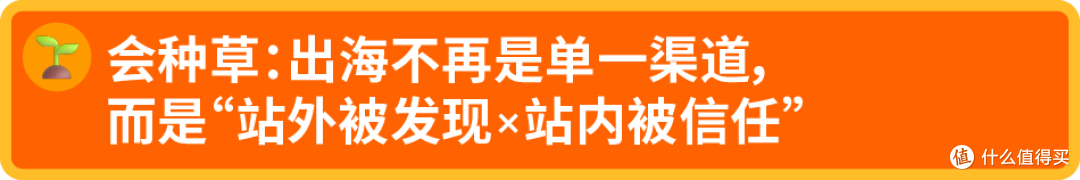 好产品×会种草×强品牌:亚马逊式美妆出海增长公式拆解