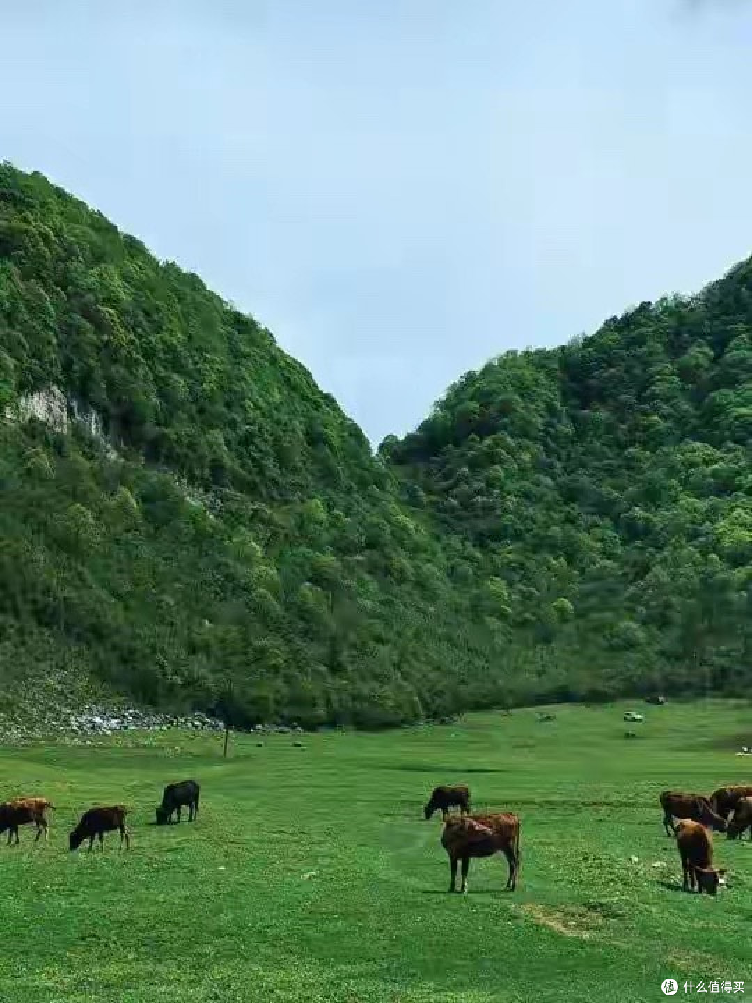 日常补充营养选蛋白粉,普通成人和老人怎么区别