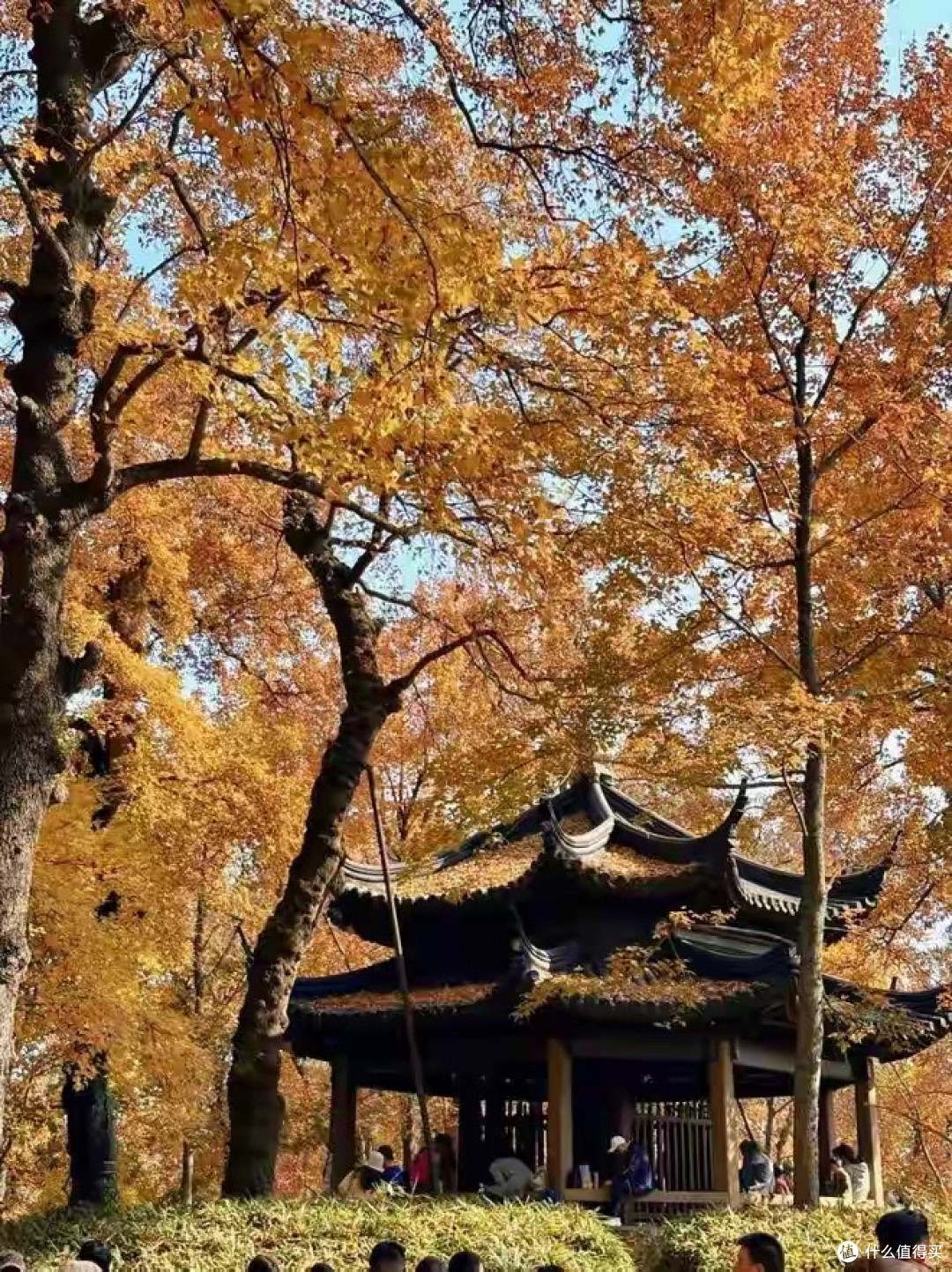 给父母挑日常营养补充的人,磷虾油先把成分和来源看明白
