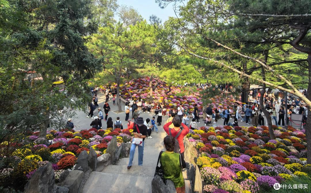 实测光帆AI视觉耳机三体联名款:耳边AI助理,真能解放手机?
