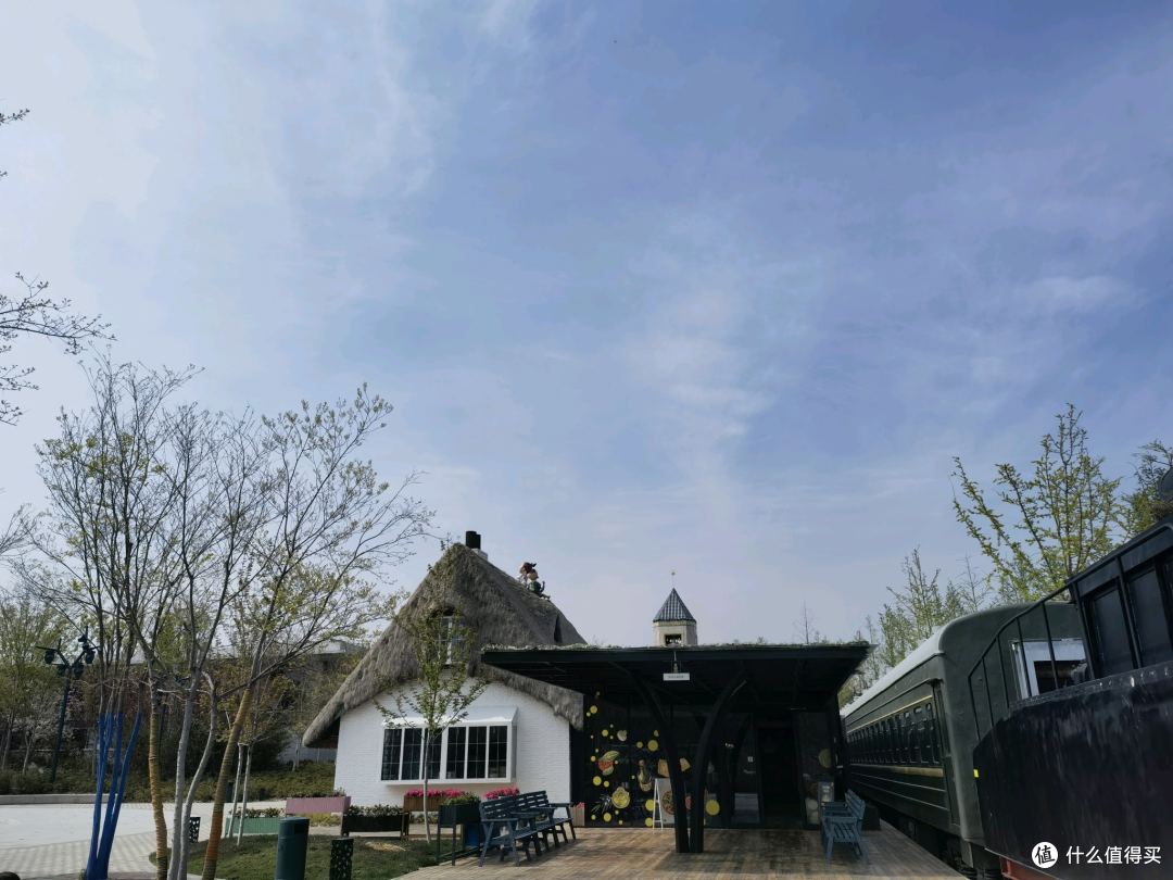 🛒 双 11 选购决策清单:照着买不踩雷,帮值友高效决策