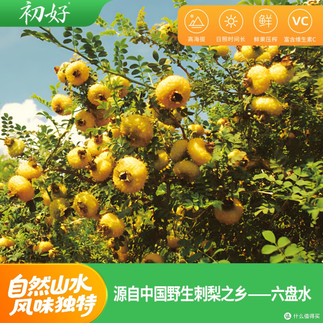100% NFC刺梨汁的成分及口感分析