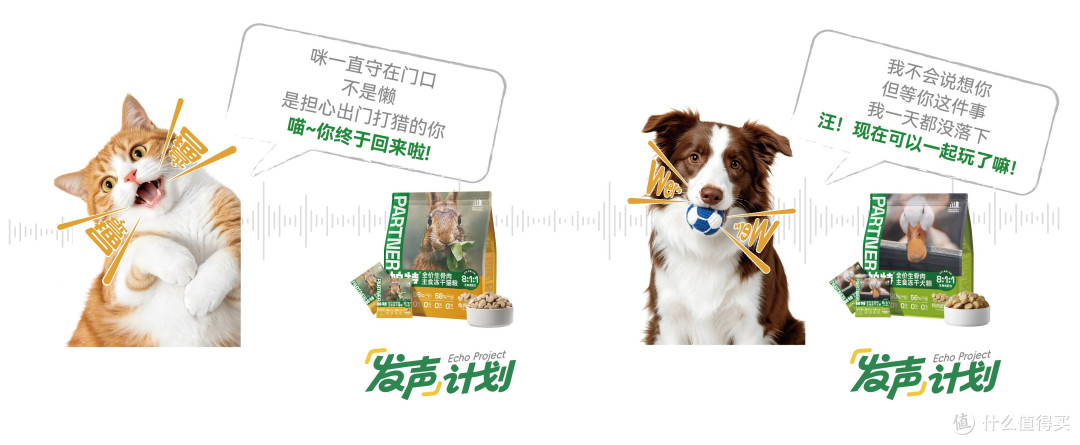 1793240858379162.jpg 一手一爪就是家:帕特公益发声计划,将流浪的呼唤化作真实援助