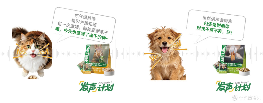 1793240847408746.jpg 一手一爪就是家:帕特公益发声计划,将流浪的呼唤化作真实援助