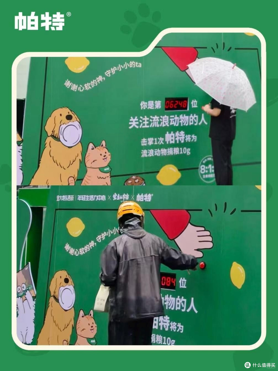 1793240916408126.jpg 一手一爪就是家:帕特公益发声计划,将流浪的呼唤化作真实援助