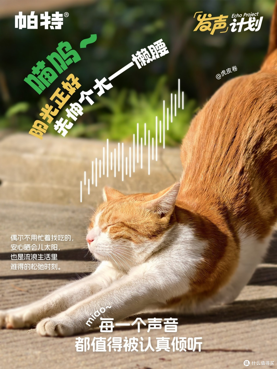 1793240894912682.jpg 一手一爪就是家:帕特公益发声计划,将流浪的呼唤化作真实援助