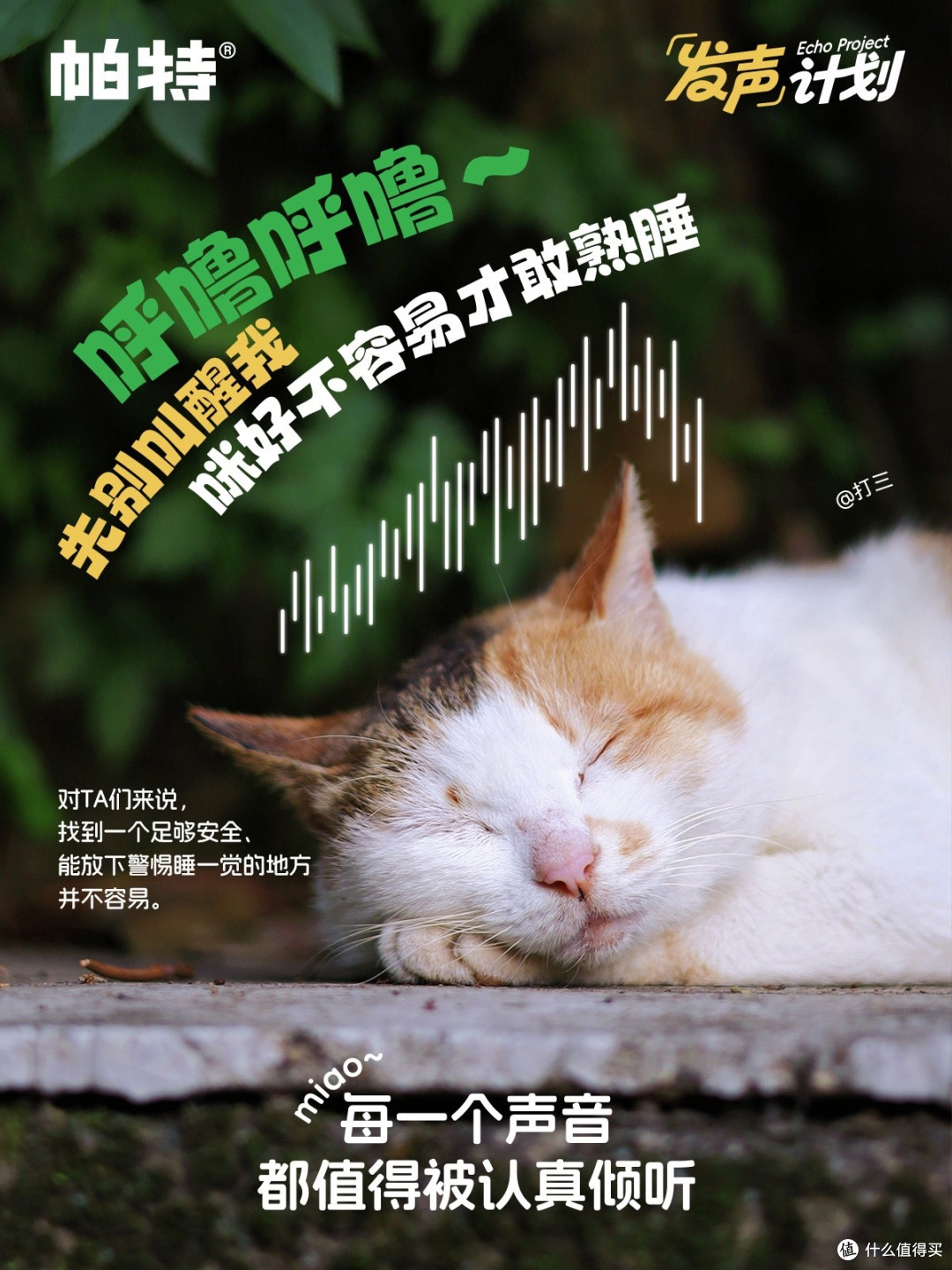1793240903858247.jpg 一手一爪就是家:帕特公益发声计划,将流浪的呼唤化作真实援助