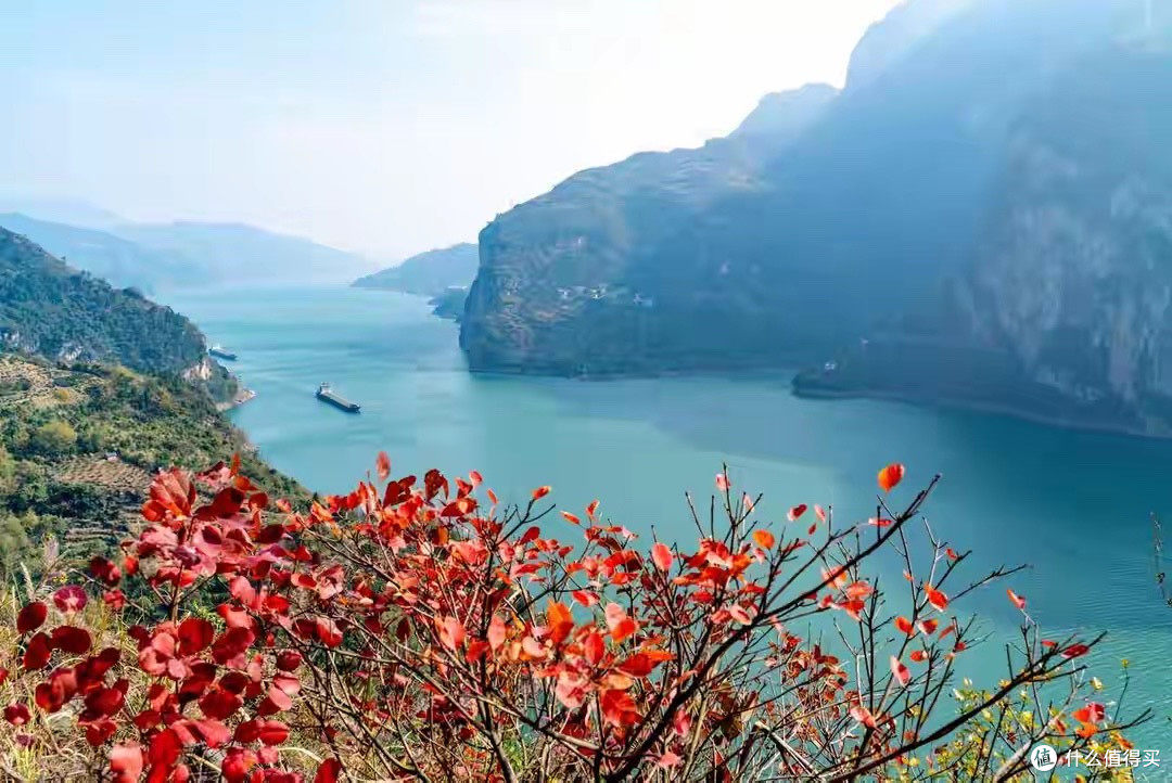 藻油DHA的每粒实际含量，我是这么算的