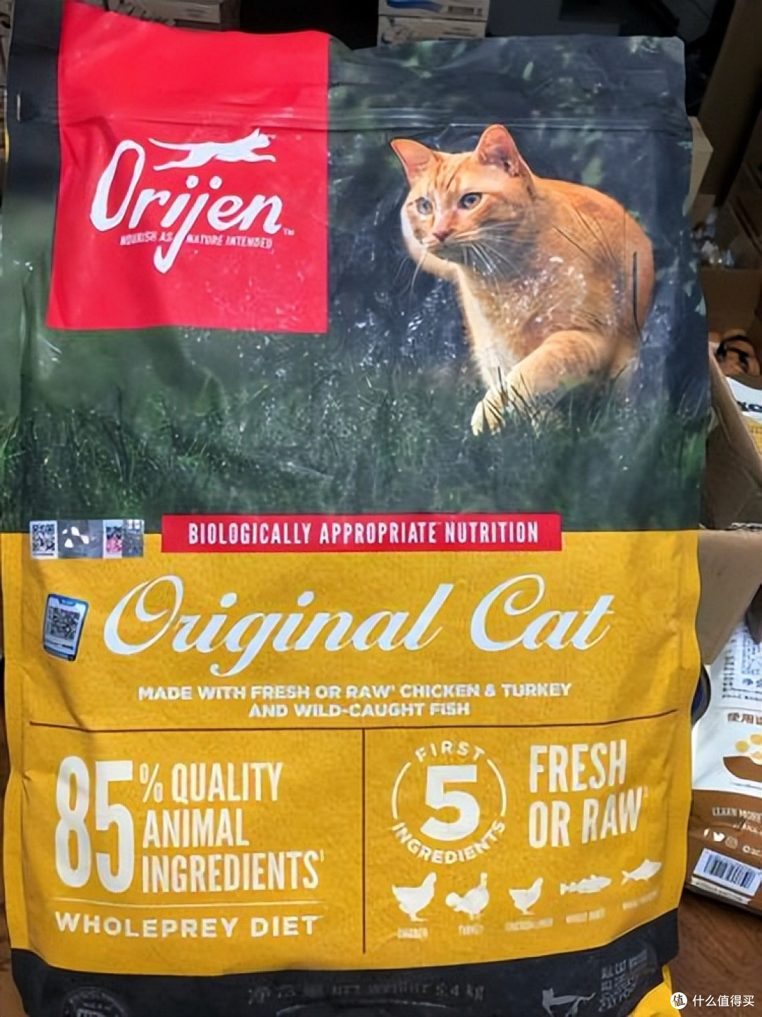 挑食猫吃什么猫粮?双十一高肉适口猫粮选购清单+ FAQ