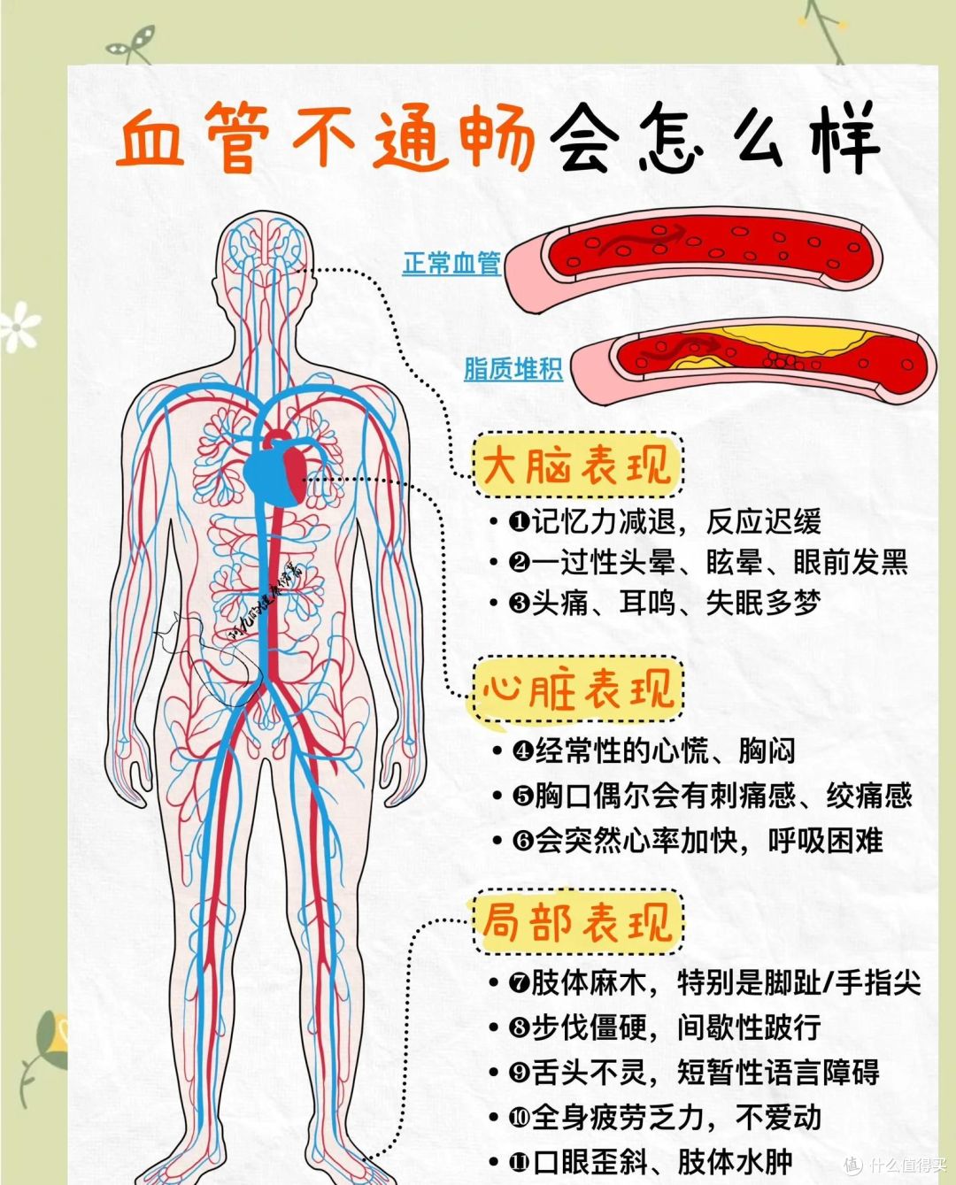 40岁后超四成男性中招?那个说不出口的毛病,其实是血管在扛雷