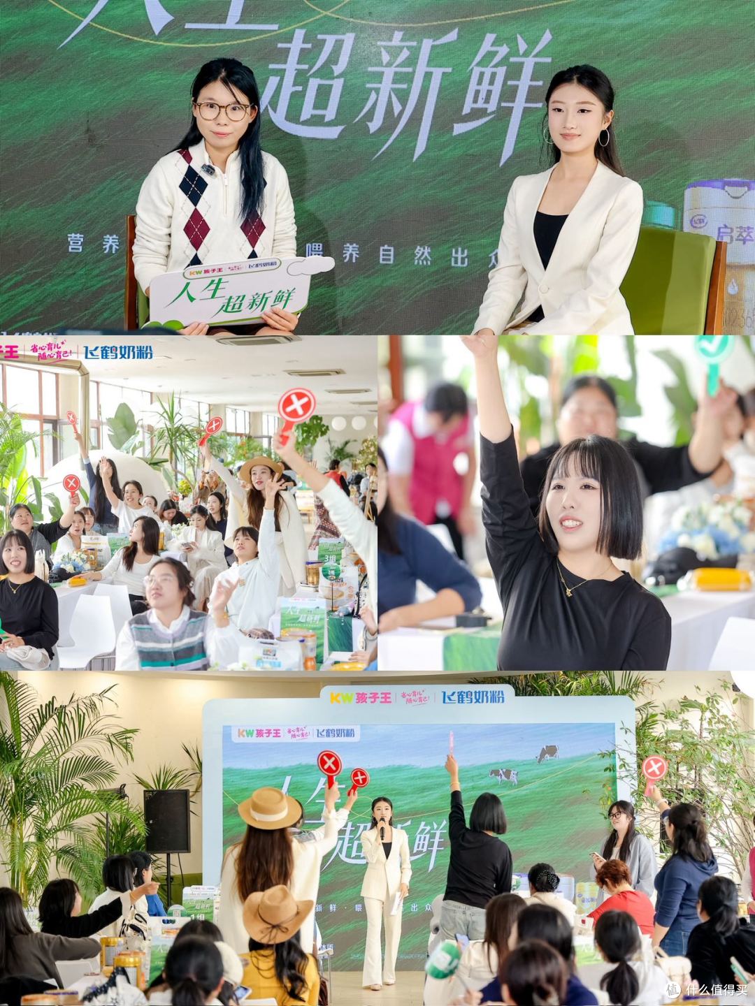 「人生超新鲜」和飞鹤一起守护宝宝鲜活成长