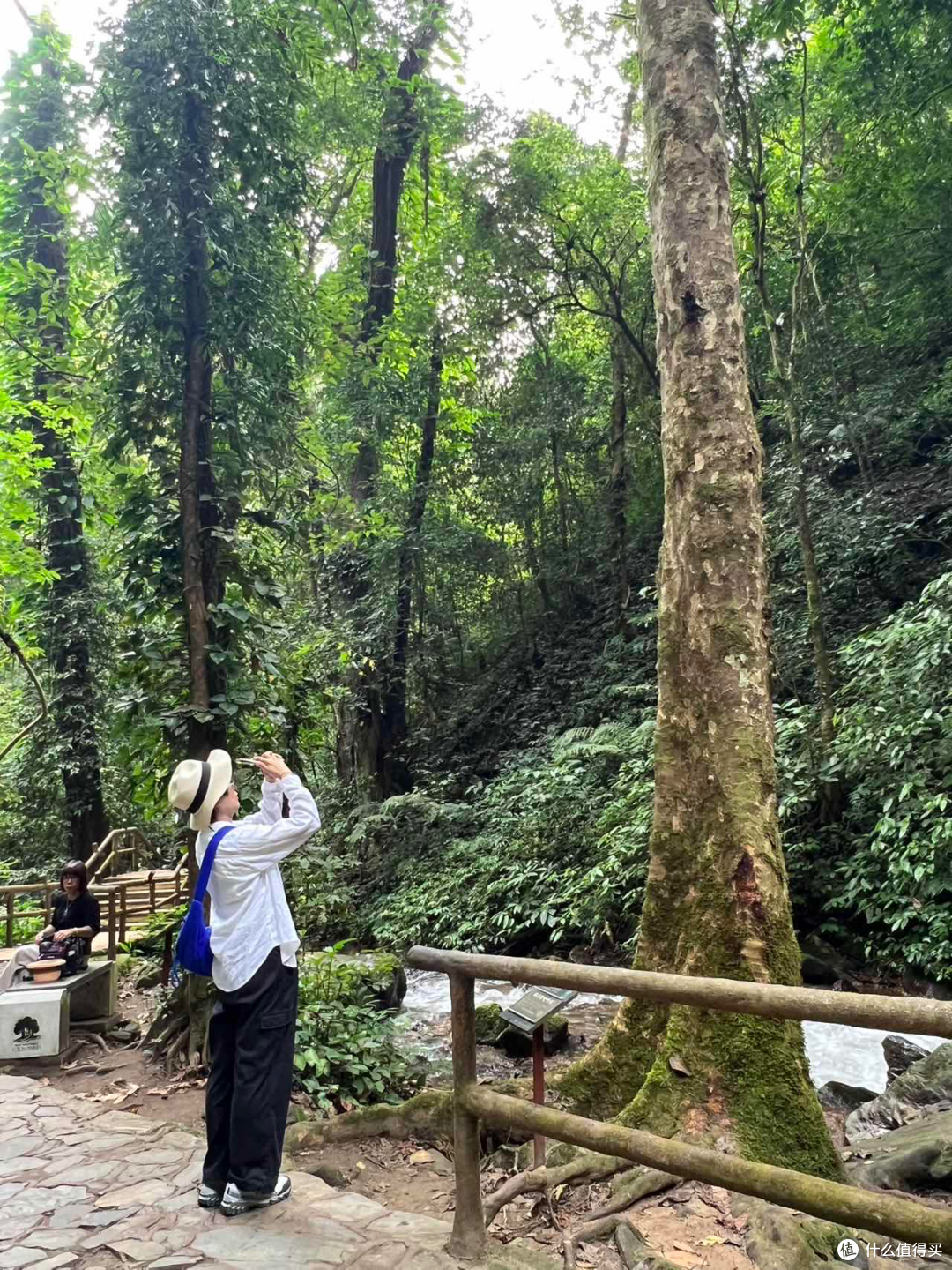 双11,随心飞究竟值不值?海航随心飞1年真实体验回本情况大公开~