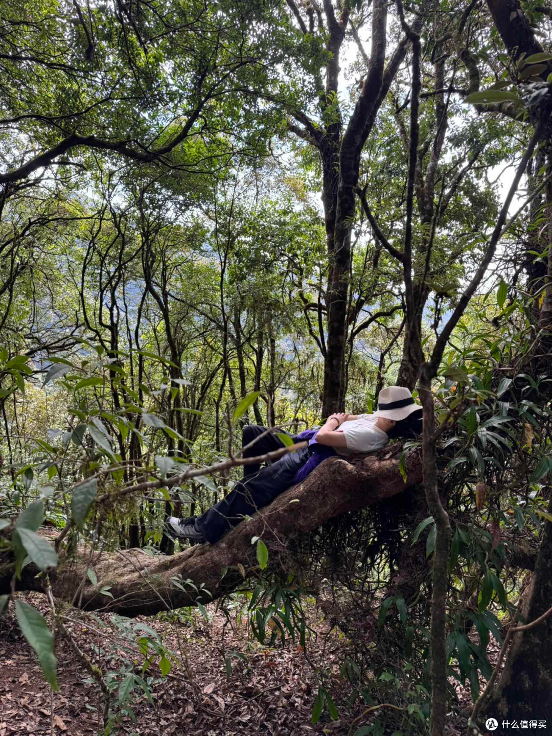 双11,随心飞究竟值不值?海航随心飞1年真实体验回本情况大公开~