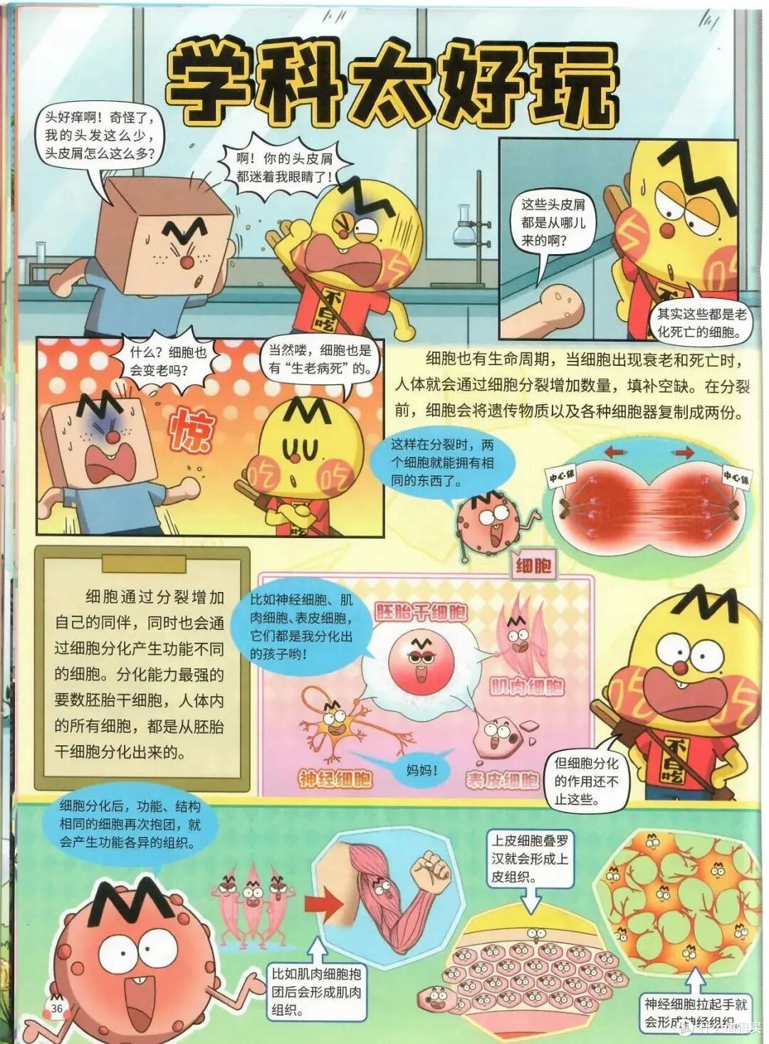 不白吃+迈克狐订了2年:完整体验+选购建议,一次说清
