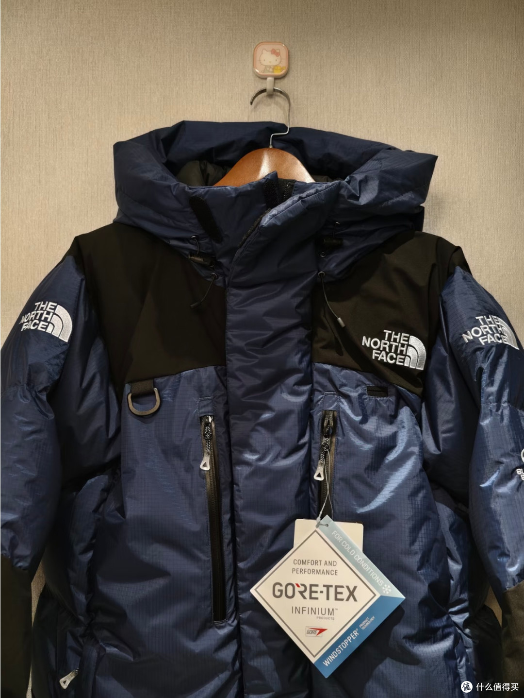 北面巅峰鹅绒服|GORE‑TEX加持,一件扛住极寒