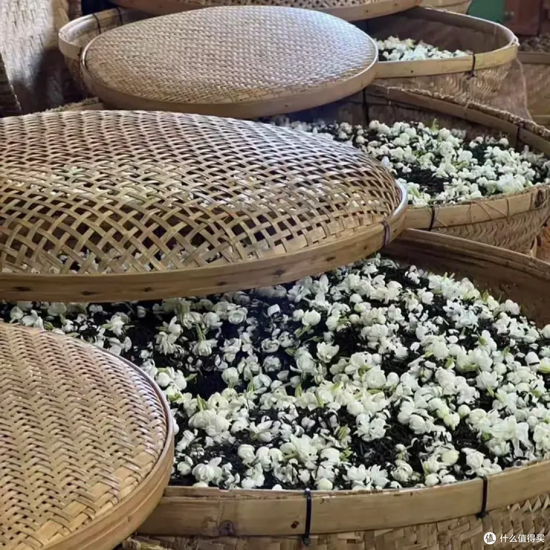 茉莉花茶流派有哪些?京派、闽派、川派、广派花茶怎么挑?