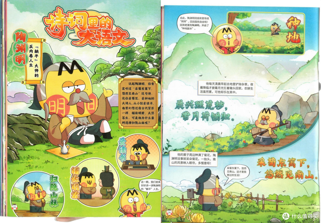 不白吃+迈克狐订了2年:完整体验+选购建议,一次说清