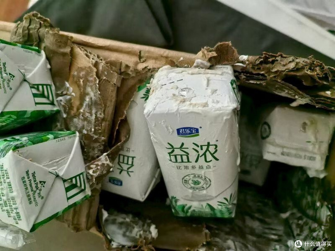 君乐宝益浓酸奶双十一实测分享