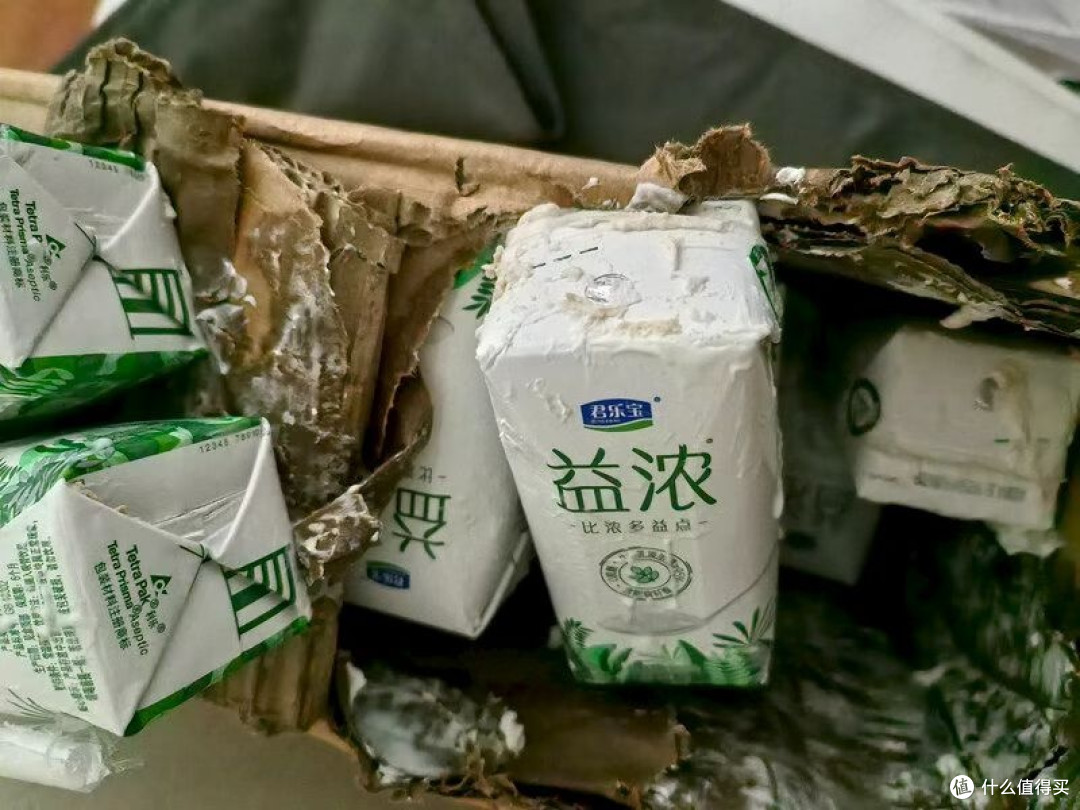 君乐宝益浓酸奶双十一实测分享