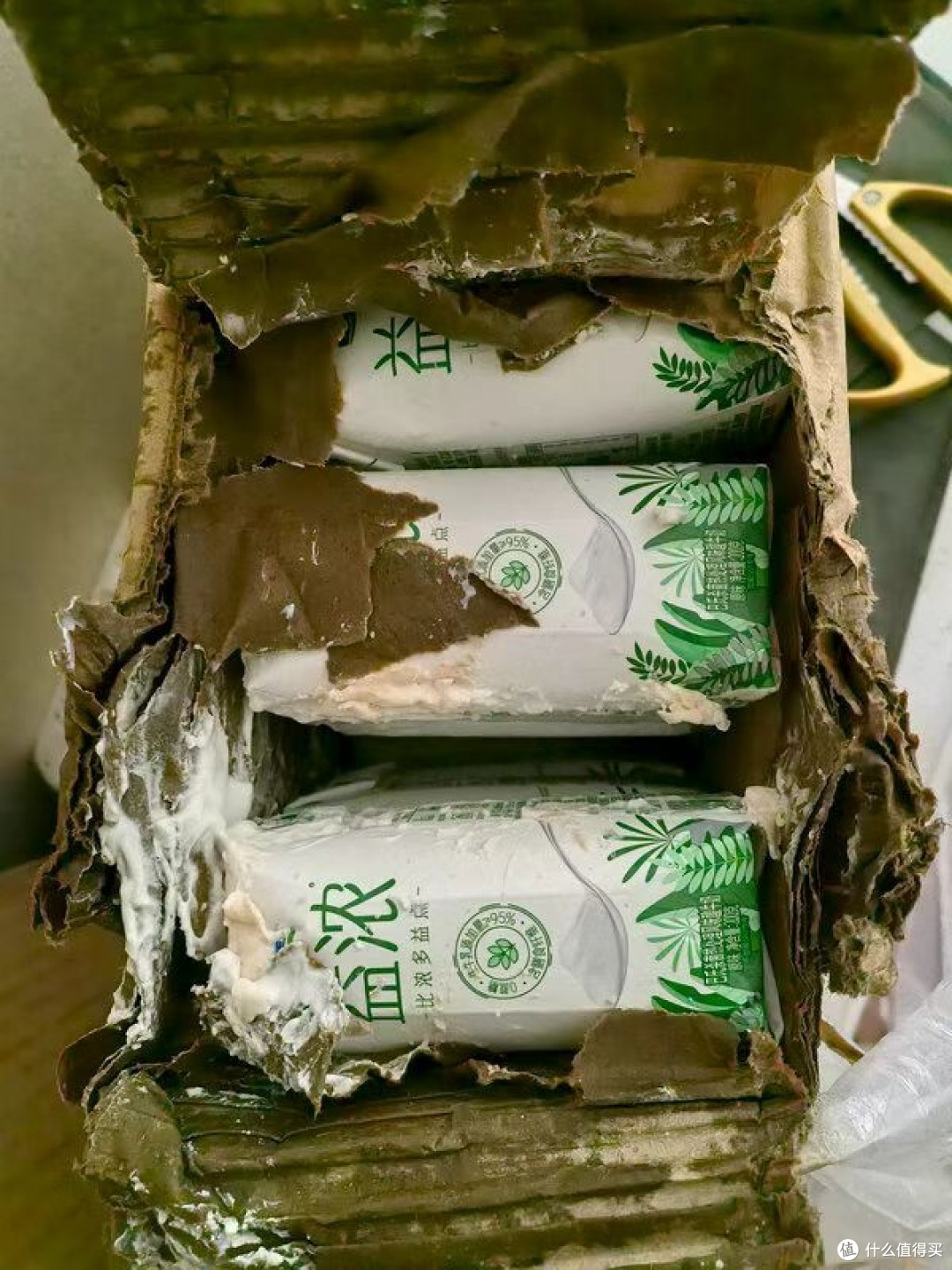 谁懂啊!这酸奶饱腹感绝了
