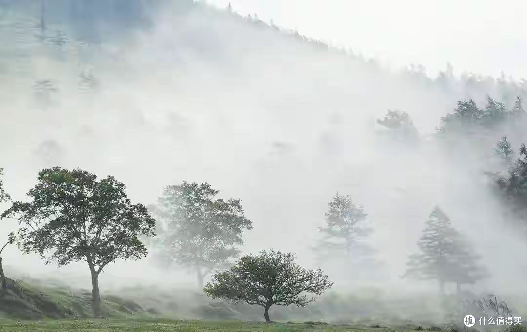 40岁后开始重视日常营养管理的人,磷虾油这样挑更有依据