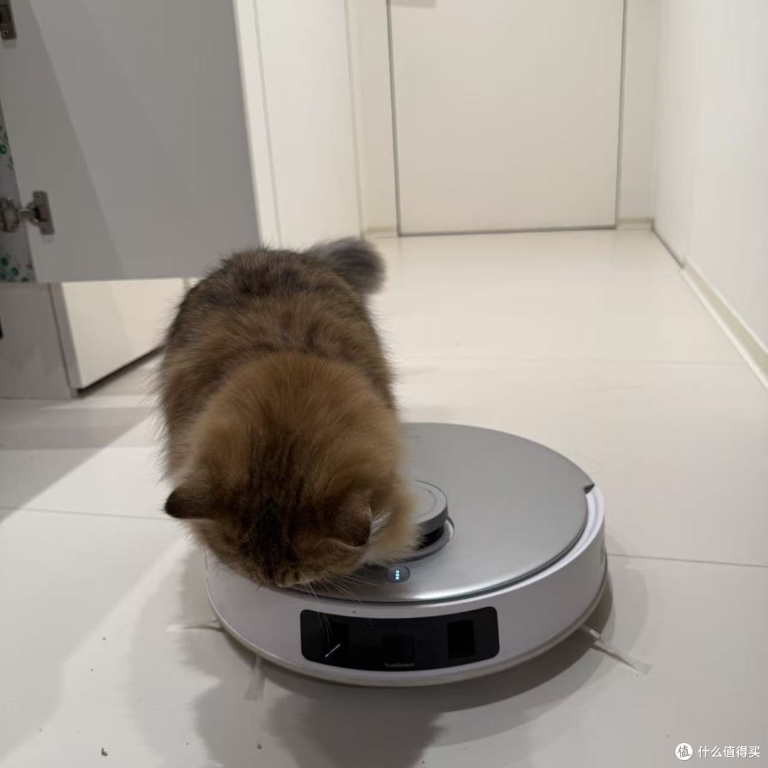 养猫家庭的猫砂盆边上，这台机器是最有用的时候