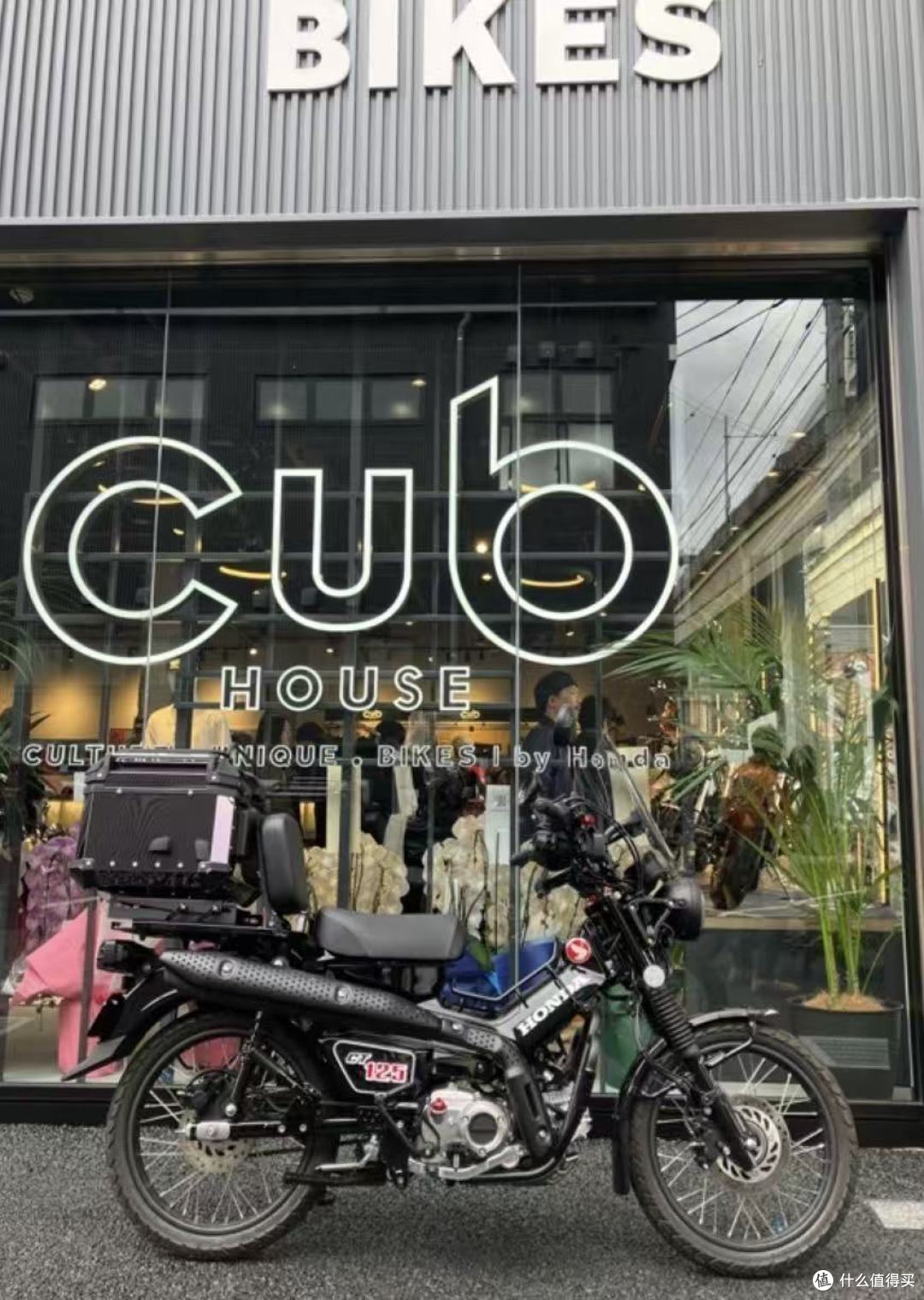 Honda Cub HOUSE 谁是狸猫谁是太子?