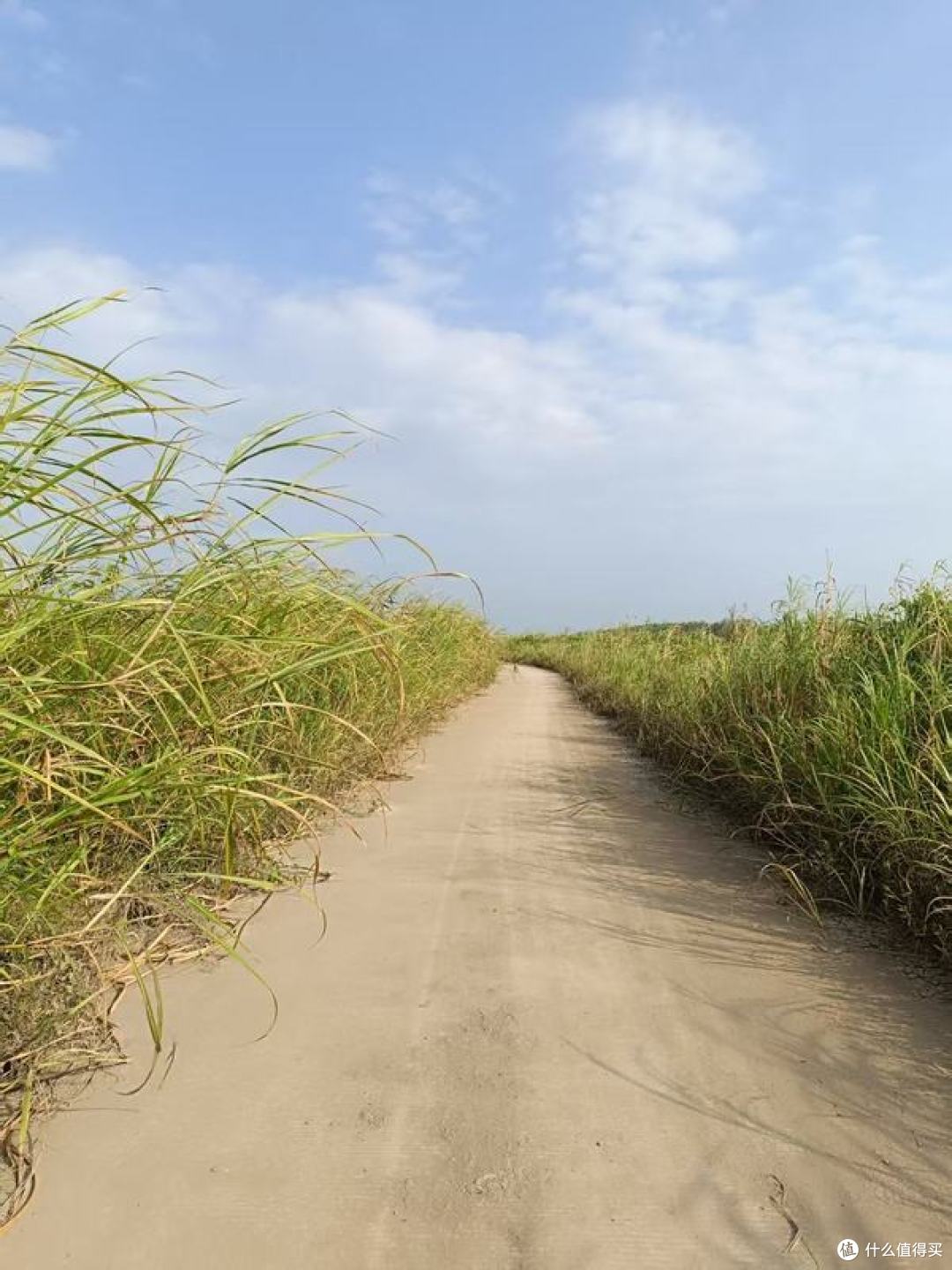 秋骑沼泽公园实测：巡弋250，只装刚需小配件就够用