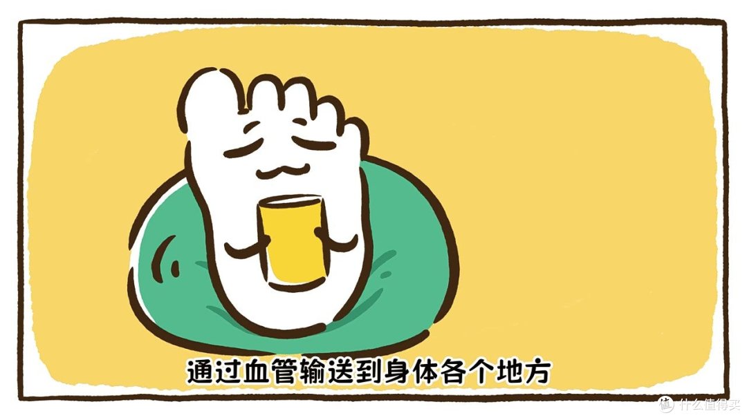 不是体寒！脚冰一整晚，是身体主动把你的脚“断供”了