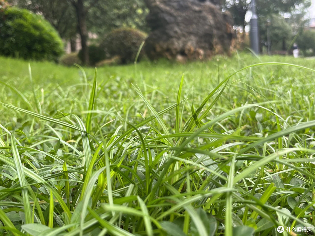 皮肤干燥‌保湿滋润面霜热门款盘点:秋冬锁水照着选