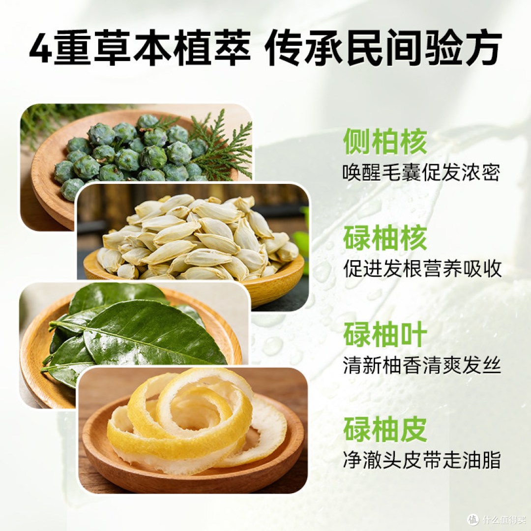 油头养发实测|香港碌柚核侧柏叶籽洗发露,控油蓬松兼顾固发