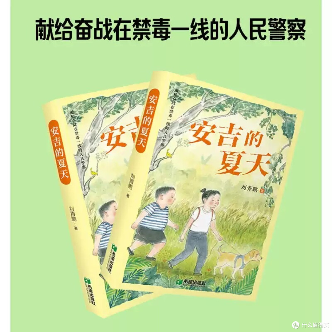 《安吉的夏天》:作者和封面信息