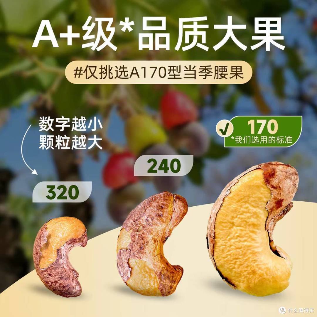 谁能拒绝一颗肥嘟嘟的 A170 特大紫腰果✨