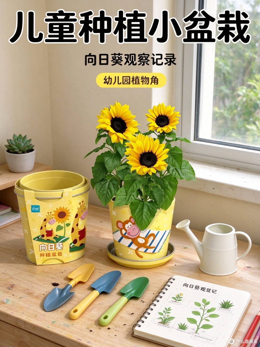 向日葵向光性小实验观察款