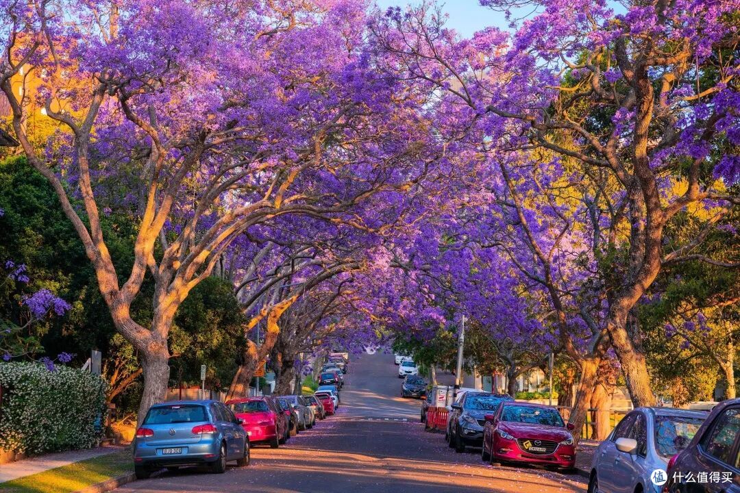 ● McDougall Street, Sydney, New South Wales  📷 / © Destination NSW