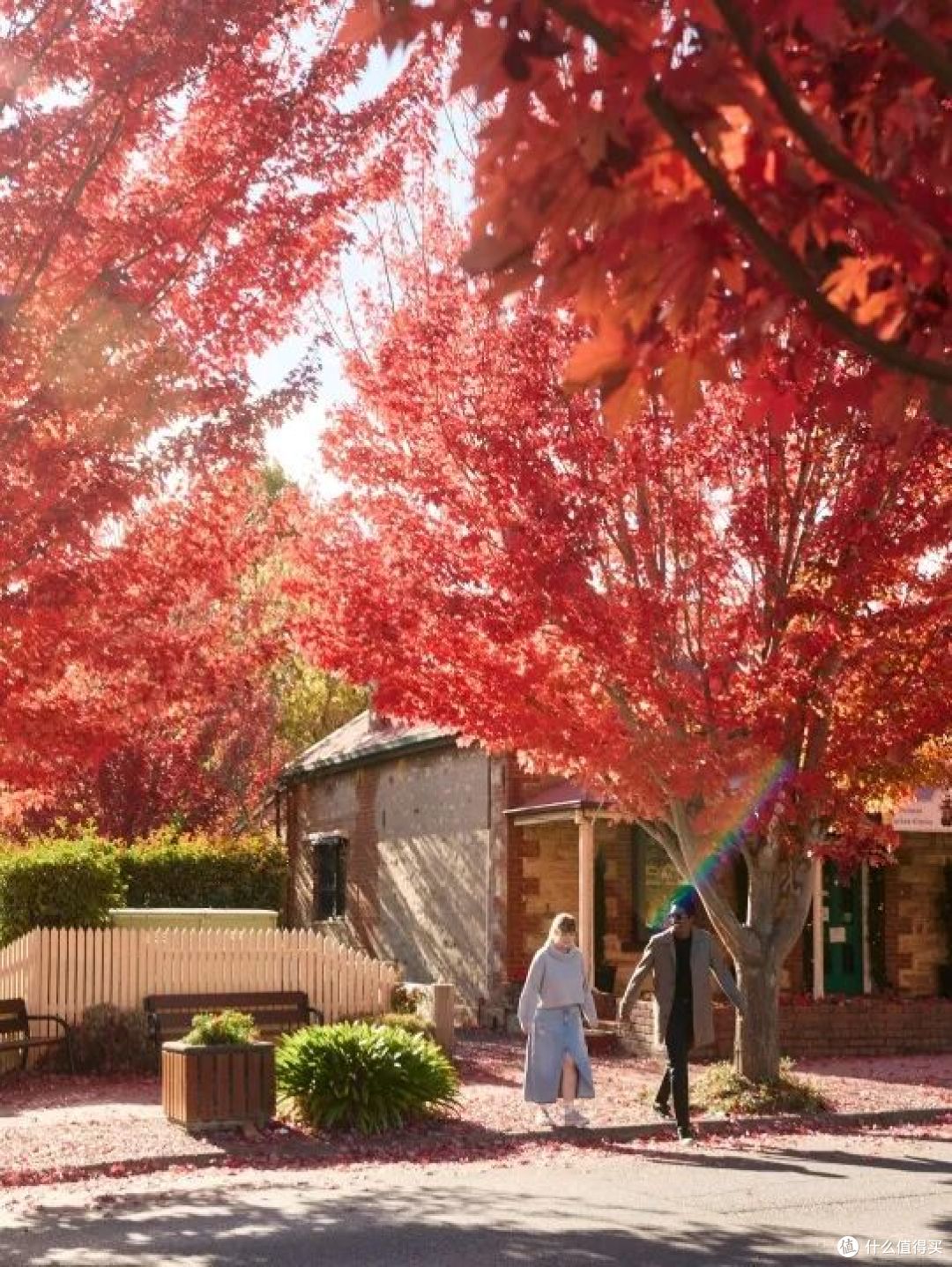 ● Mount Barker Road, Hahndorf, South Australia  📷 / © South Australian Tourism Commission