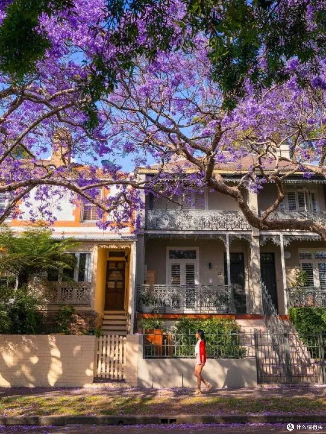 ● McDougall Street, Sydney, New South Wales  📷 /© Destination NSW