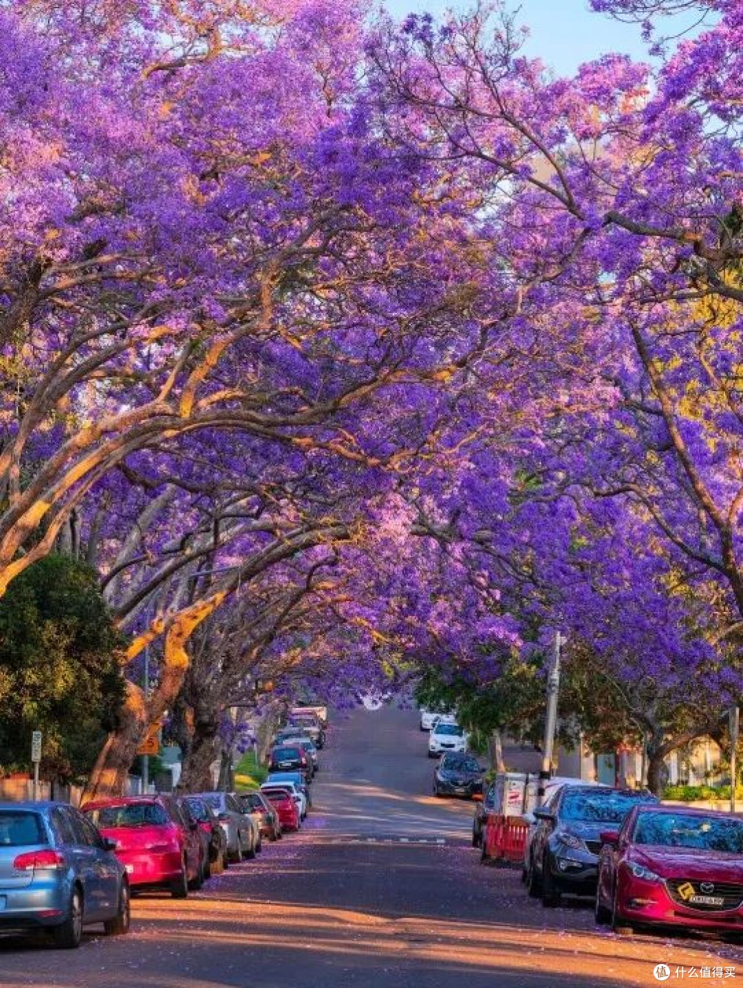 ● McDougall Street, Sydney, New South Wales  📷 /© Destination NSW