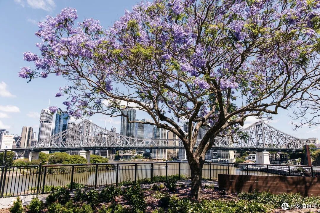 ● Wilson's Lookout, Brisbane, Queensland  📷 / © Tourism and Events Queensland