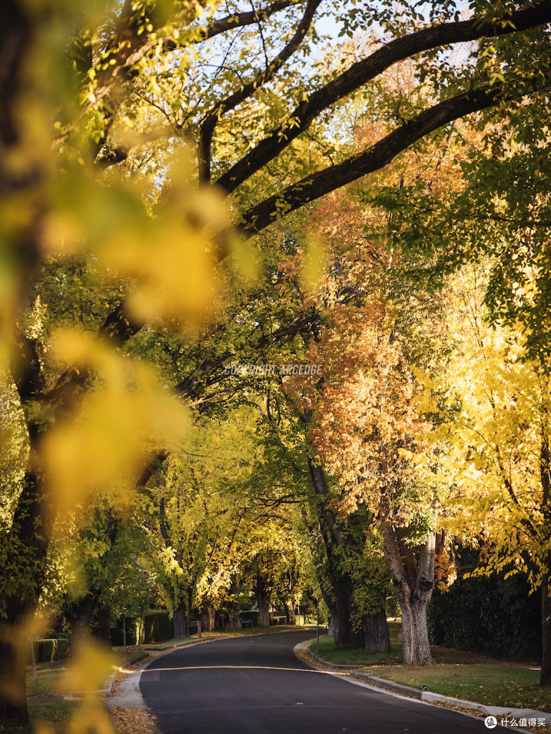 ● Grant Crescent, Canberra, Australian Capital Territory  📷 / © Arcedge via 小红书