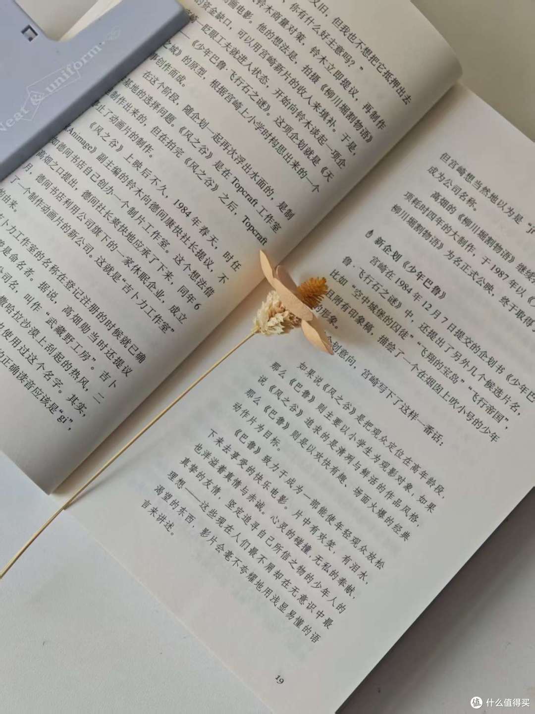 读完两本吉卜力好书 | 不止治愈!种下一份跨越山海的巡礼心愿