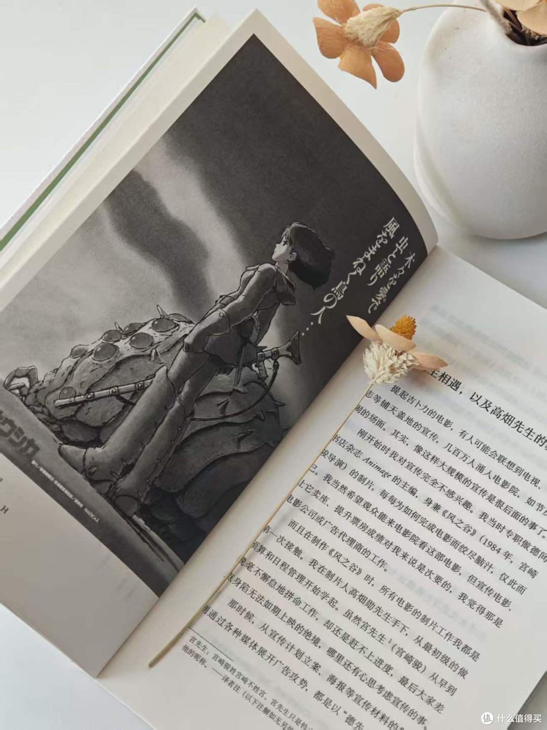读完两本吉卜力好书 | 不止治愈!种下一份跨越山海的巡礼心愿