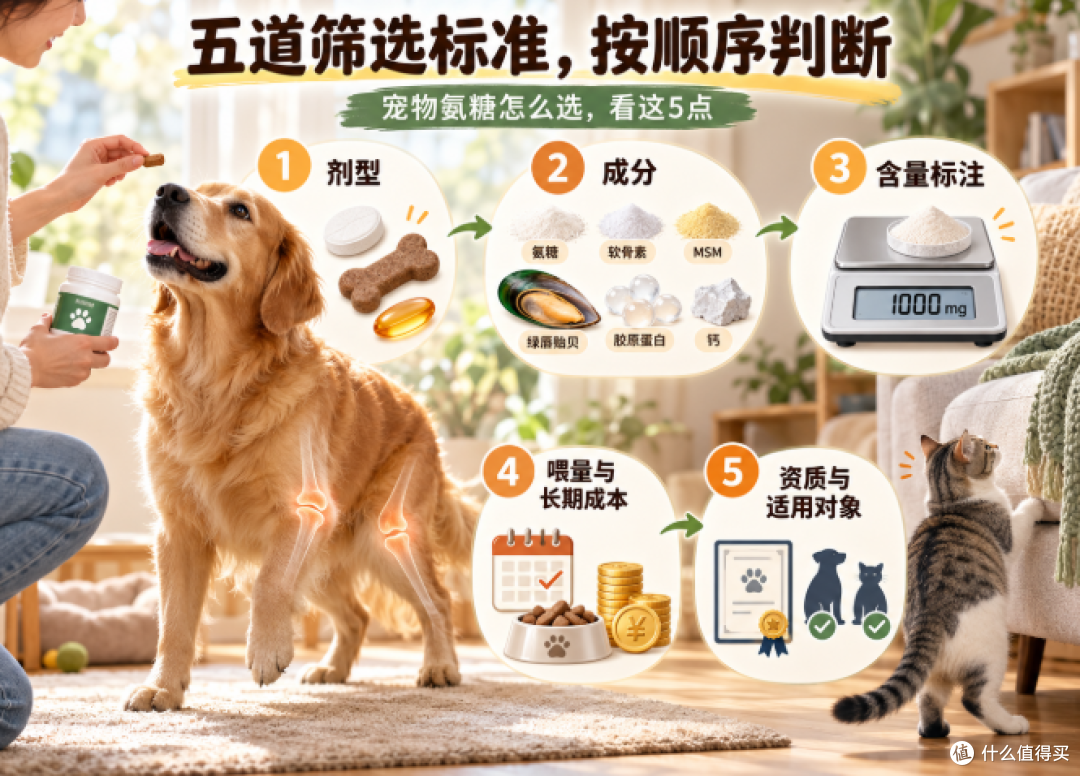 宠物氨糖软骨素怎么选？五道筛选标准 + 7 款产品横向测评