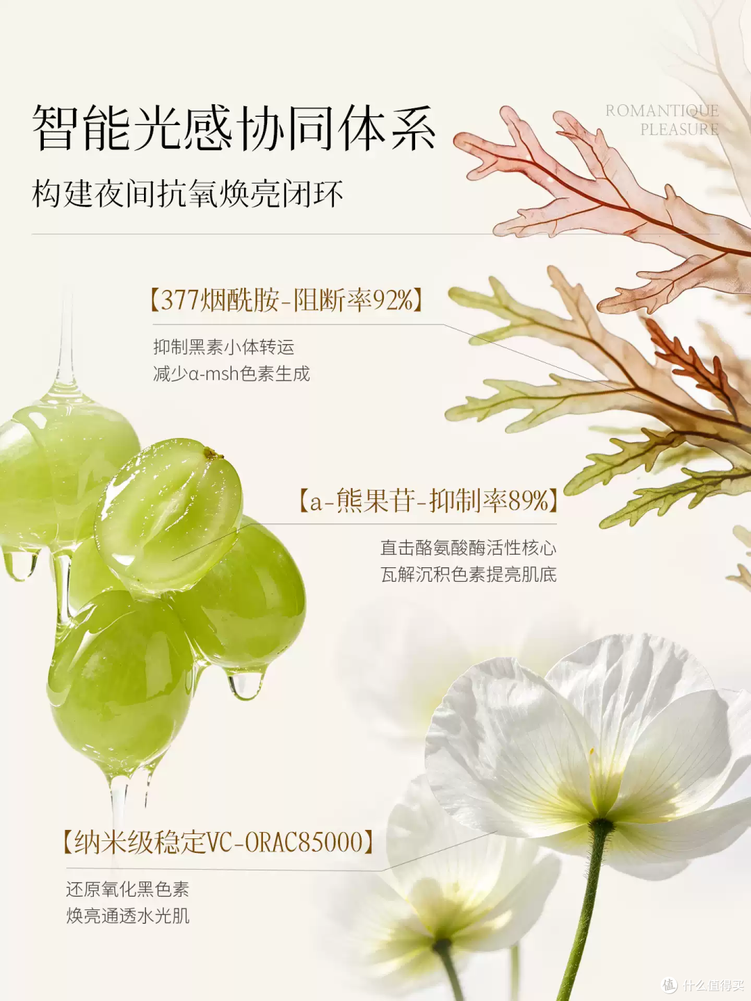 熬夜党本命面膜！涂完脸像喝饱水一样嫩