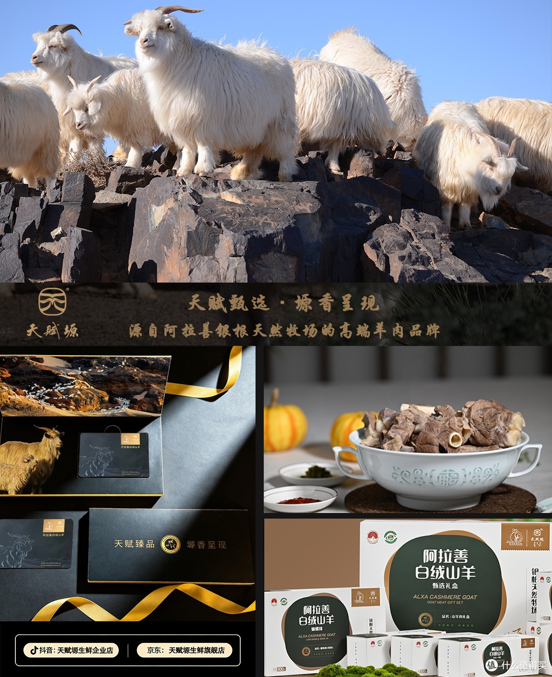 天赋塬·阿拉善白绒山羊肉｜中欧地理标志互认产品