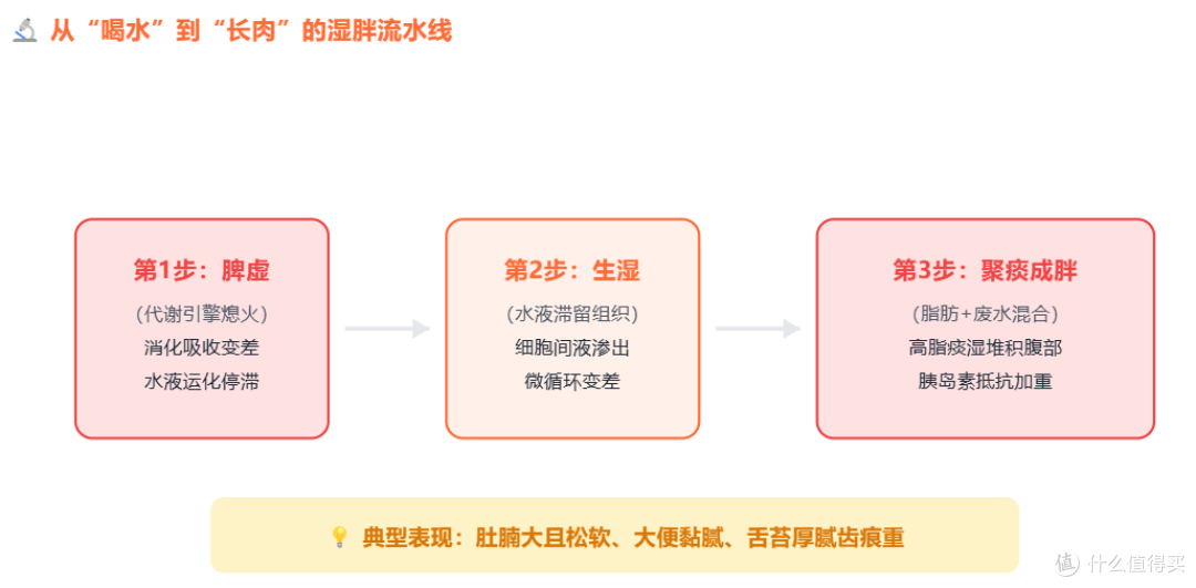 湿气重的人,连喝水都在长肉!3招排湿一身轻,肚腩都小一圈